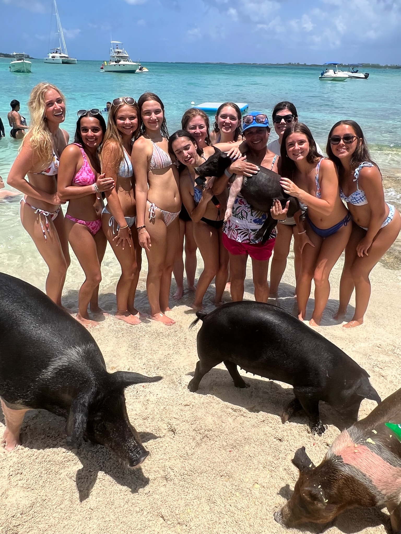 swimming with the pigs in the Bahamas, International Vacations, Inc